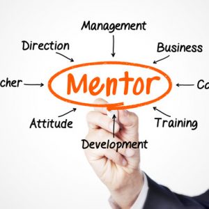 New Business Mentorship